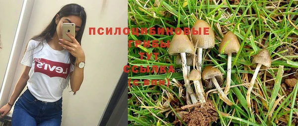 скорость Алексин