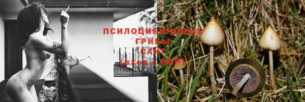 mix Алексеевка