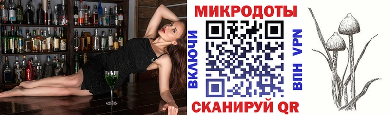 купить наркотики сайты  Пучеж  Псилоцибиновые грибы Magic Shrooms 