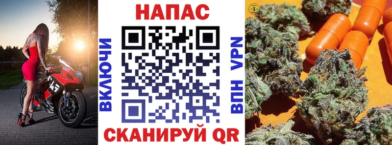 магазин продажи наркотиков  Пучеж  Канабис семена 